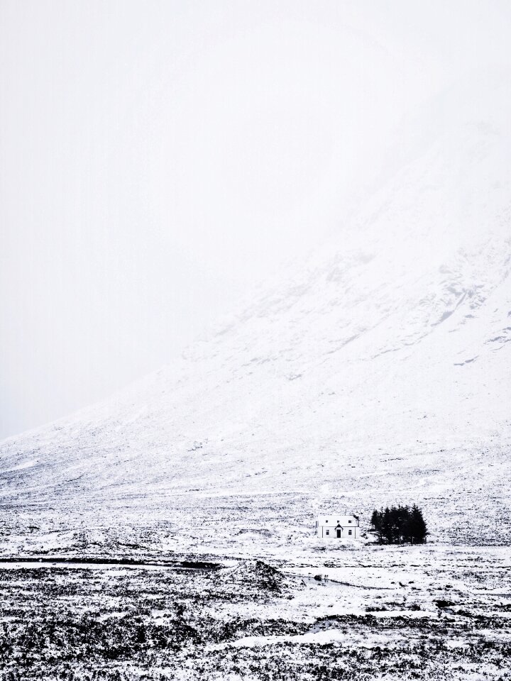 Trees landscape nature photo