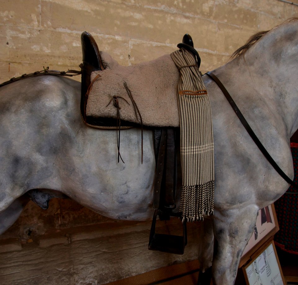 Andalusian vaquero saddle