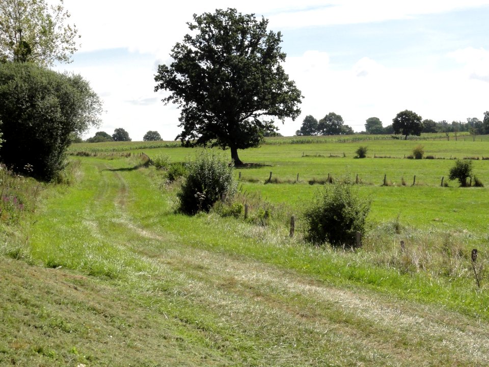 Andernay (Meuse) paysage