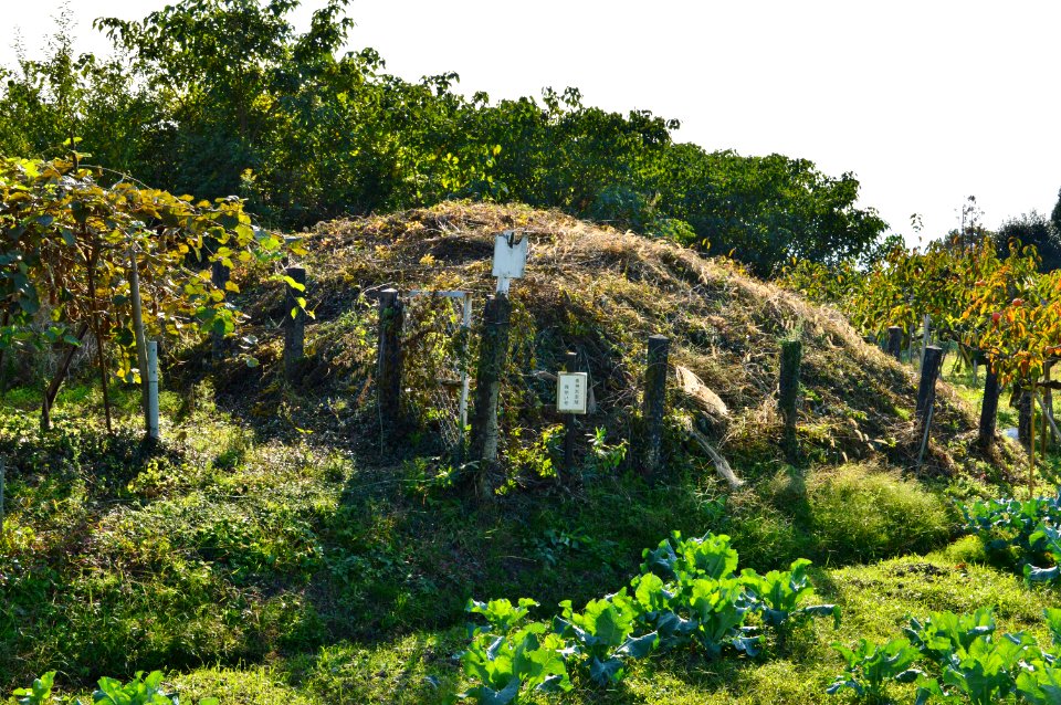 Andon-yama Kofun, baicho-1