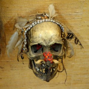 Ancestor skull worn as pectoral - Asmat-Mimika, western Irian, southern New Guinea - Royal Museum for Central Africa - DSC07207