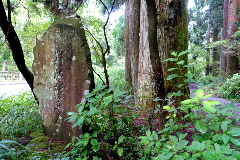 Ancient Cedar Avenue marker, Hakone old road - Hakone, Japan - DSC05955