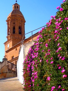 Andosilla - Iglesia de San Julián y Santa Basilisa 06