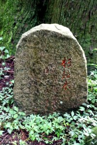 Ancient Cedar Avenue marker, Hakone old road - Hakone, Japan - DSC05928