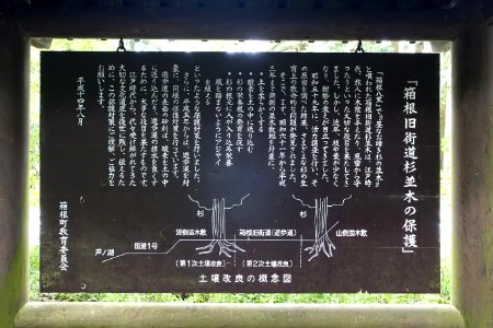 Ancient Cedar Avenue sign, Hakone old road - Hakone, Japan - DSC05954