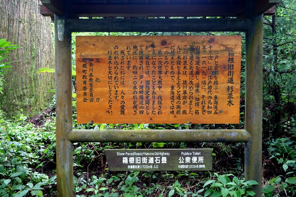 Ancient Cedar Avenue sign, Hakone old road - Hakone, Japan - DSC05936