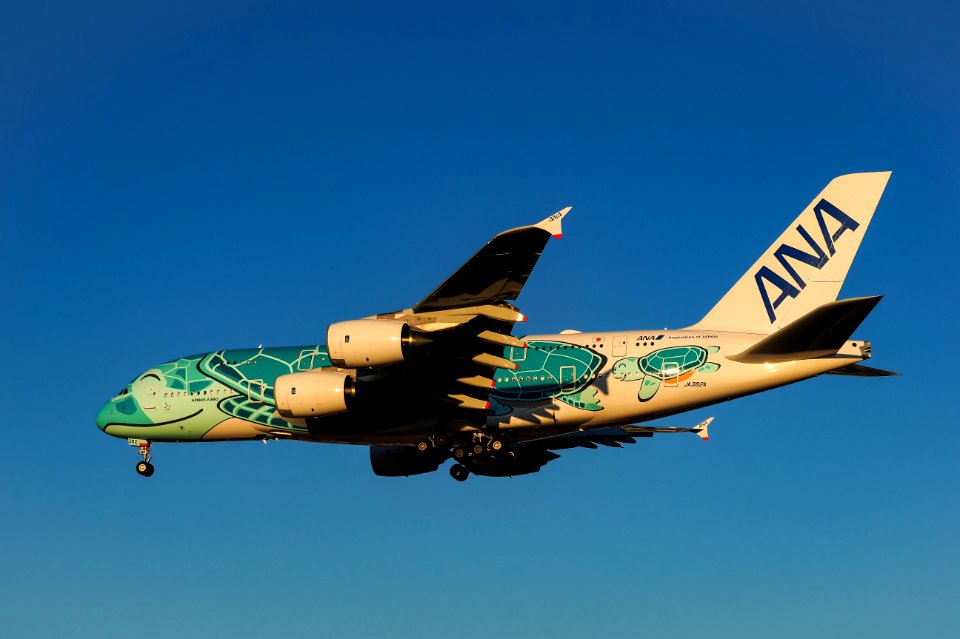 ANA Airbus A380 JA382A in Narita