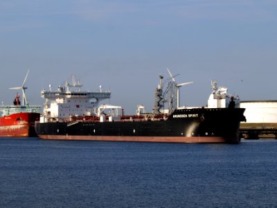 Amundsen Spirit IMO 9438858 at Port of Rotterdam