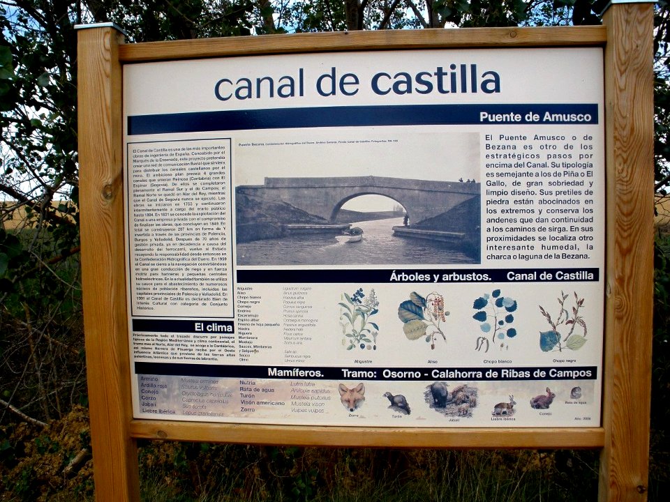 Amusco - Canal de Castilla 08
