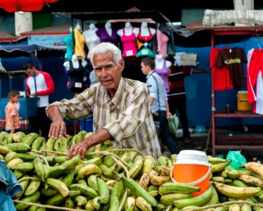 Ancient banana vendor photo