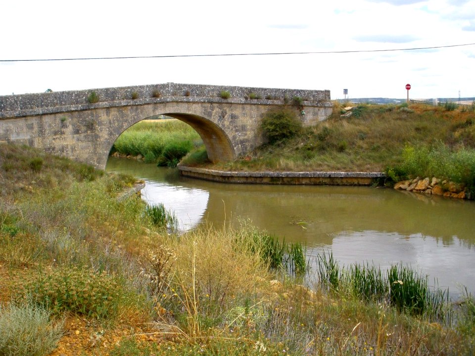 Amusco - Canal de Castilla 07