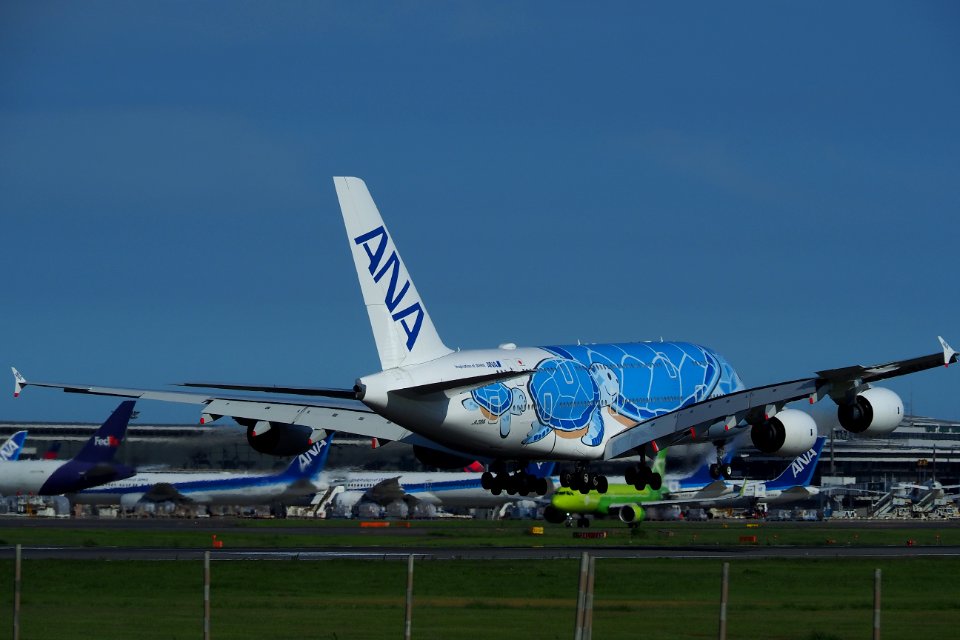 ANA Airbus A380 JA381A in Narita