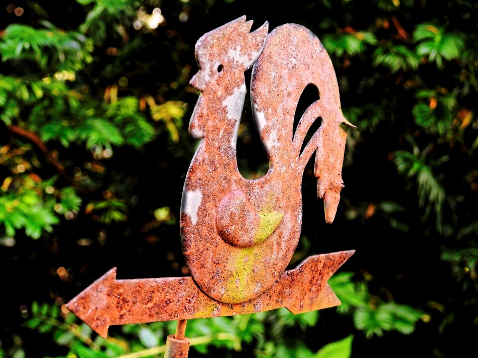 Rust wind direction metal