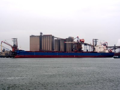 Anangel Aspiration, IMO 9581681, pic2