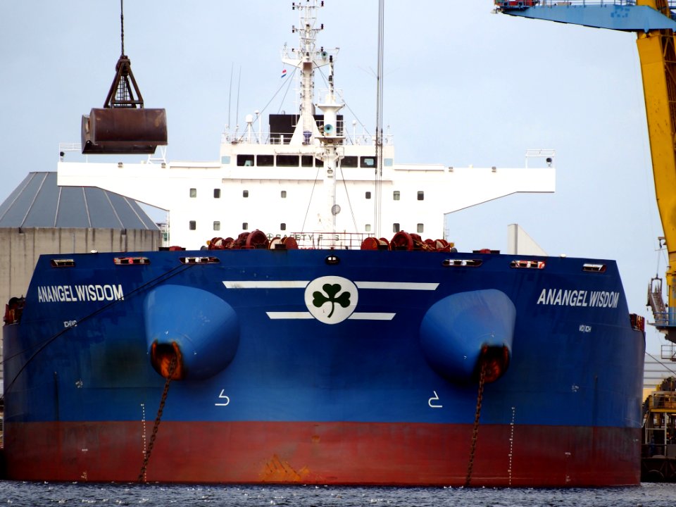 Anangel Wisdom - IMO 9606766, Port of Amsterdam pic4