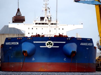 Anangel Wisdom - IMO 9606766, Port of Amsterdam pic4