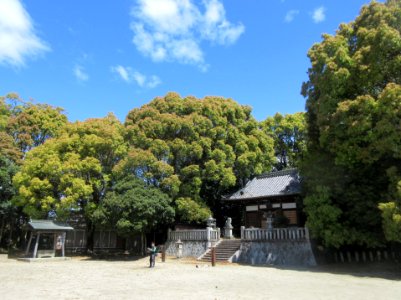 Anjo-Naigai-Shinmeisha-1