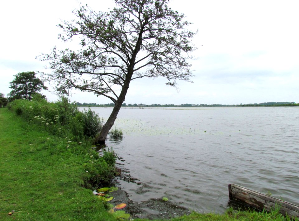 Ankeveense Plassen