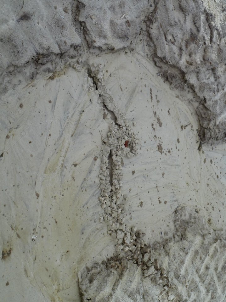 Animal-trench-2