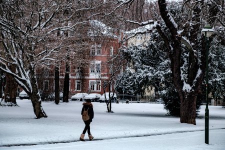 Anlagenpark-mit-Schnee