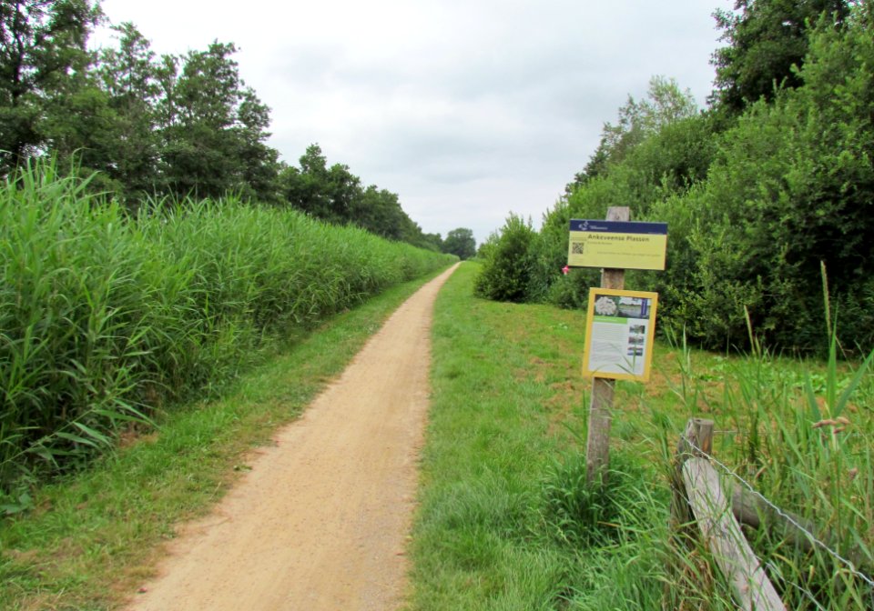 Ankeveense Plassen (4)