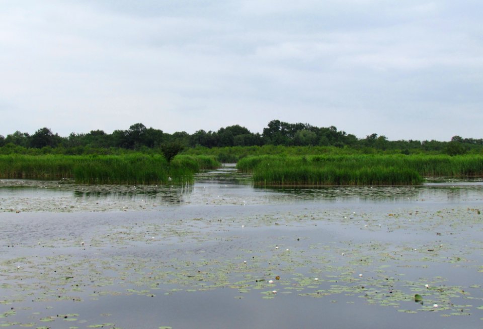 Ankeveense Plassen (2)