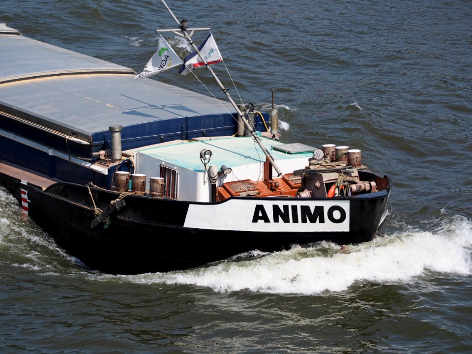 Animo - ENI 02319464, Amsterdam-Rijnkanaal pic3