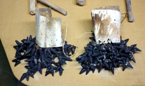 Ankle rattles - Pygmy peoples - Royal Museum for Central Africa - DSC06600