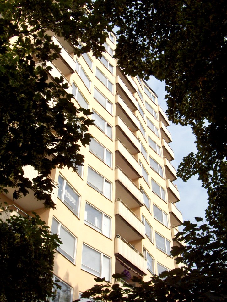 Ankdammsgatan-park
