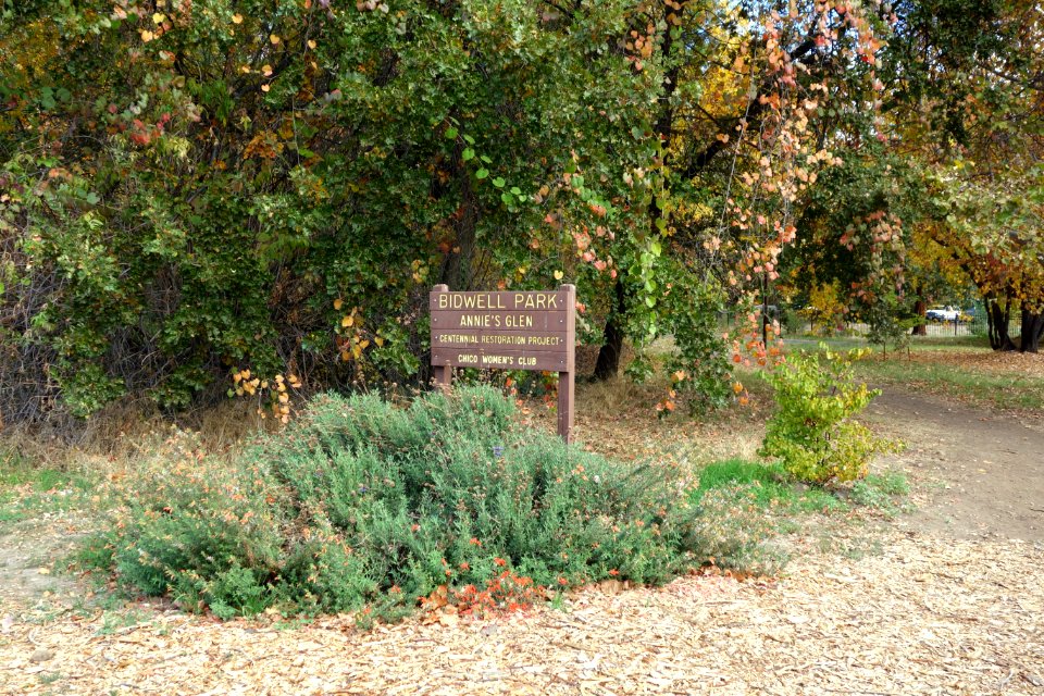 Annie's Glenn - Bidwell Park - Chico, CA - DSC03108
