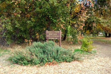 Annie's Glenn - Bidwell Park - Chico, CA - DSC03108
