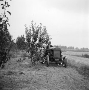 Annexatie Boer op tractor bewerkt land, Bestanddeelnr 900-6316 photo
