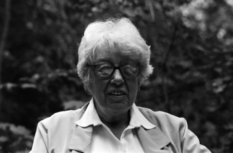 Annie M. G. Schmidt , opdracht Gelderlander, koppen, Bestanddeelnr 933-7334