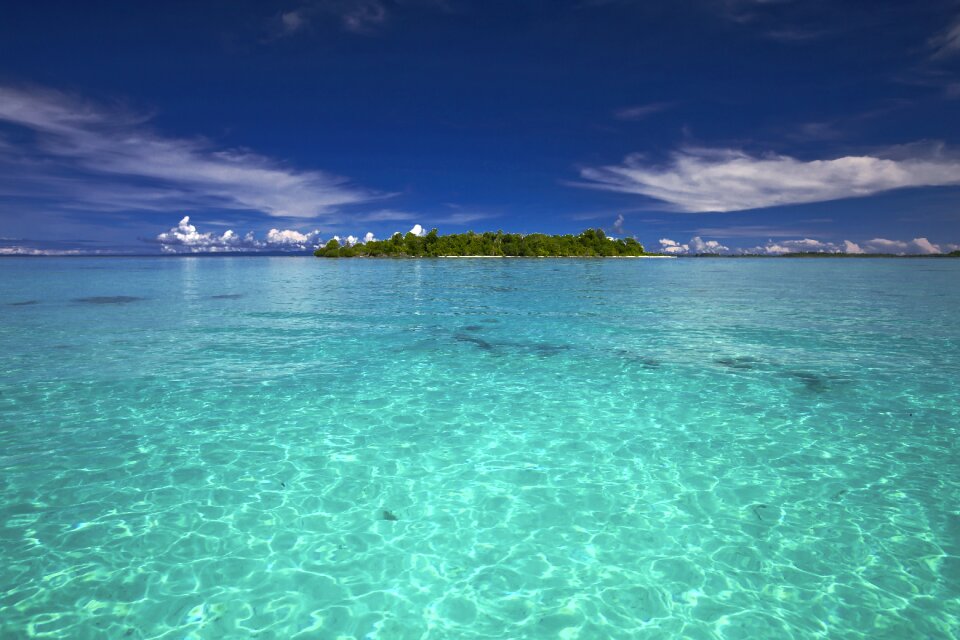 Southern countries coral reefs tropical