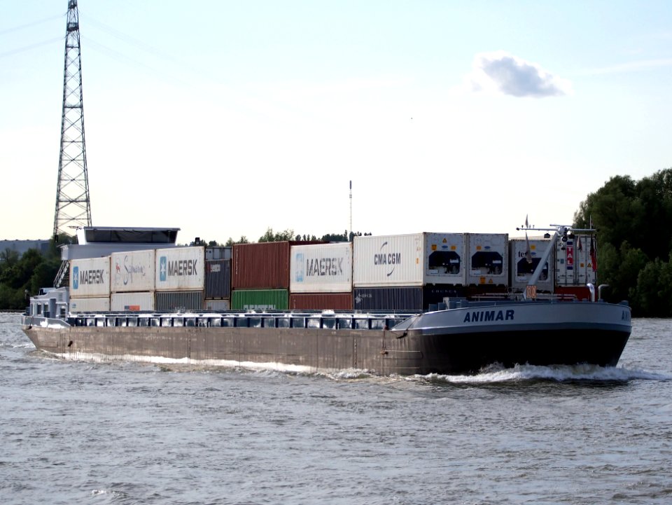 Animar - ENI 02332008 op de Nieuwe Maas rivier, pic3