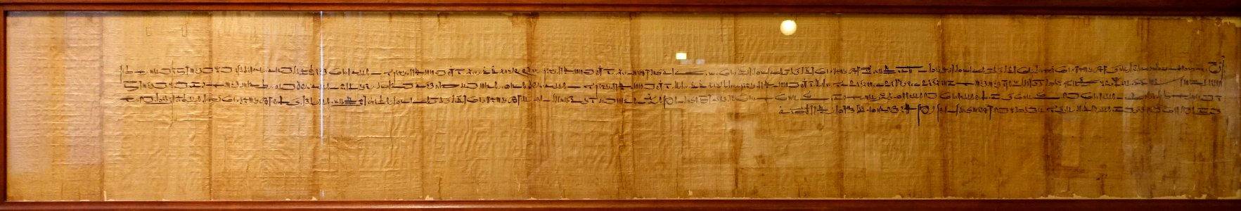 Annuity contract, Faiyum, Hawara, Egypt, Late Period,Dynasty 30, reign of Nectanebo, 22 December 365 to 20 January 364 BC, papyrus, ink - Oriental Institute Museum, University of Chicago - DSC07756