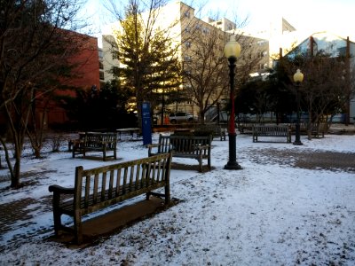 Anniversary Park, George Washington University, Washington, DC