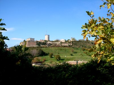 Ancona 24-10-2010 Fortificazioni Cappuccini