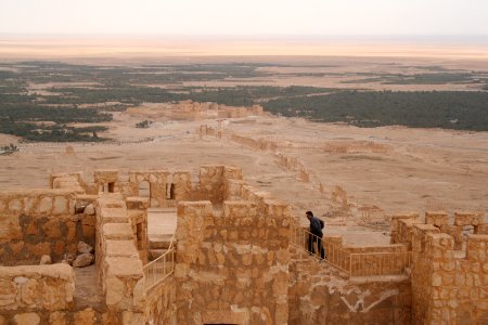 Ancient Palmyra