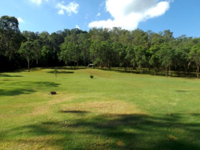 Andrew Drynan Park and Mount Chingee National Park at Running Creek, Queensland