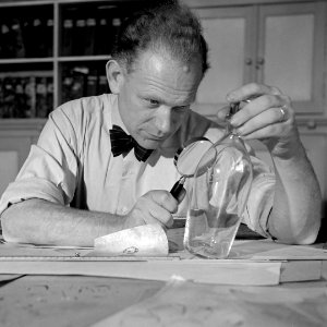 Andries Copier (1937)