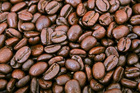 Coffee beans brown texture photo