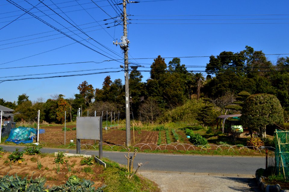 Anesaki Tenjin-yama Kofun, zenkei