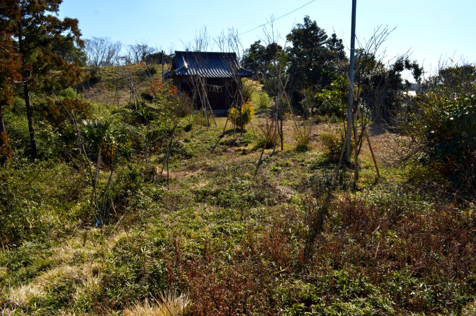 Anesaki Tenjin-yama Kofun, funkyu-2