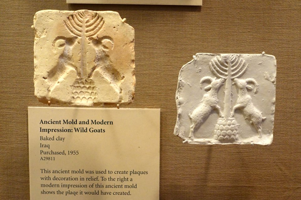 Ancient mold of wild goats with modern impression, Iraq, baked clay - Oriental Institute Museum, University of Chicago - DSC07321