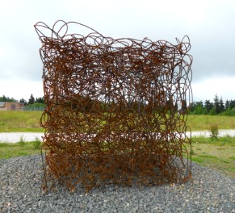 Angelika Summa - Gestrüpp - Erbeskopf - July 2012 - 2