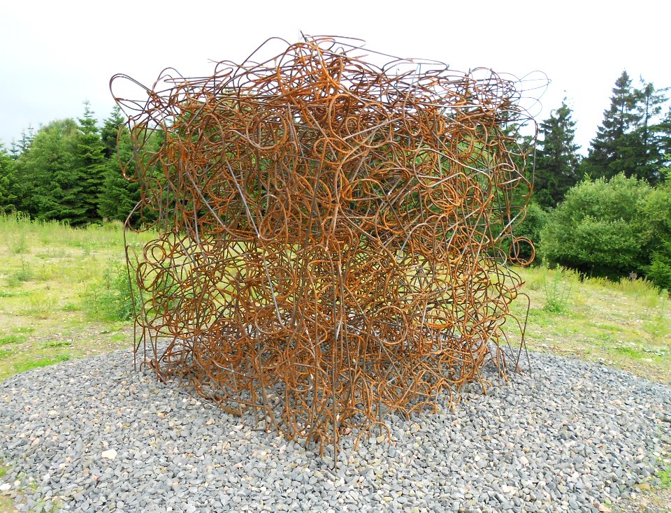 Angelika Summa - Gestrüpp - Erbeskopf - July 2012 - 1
