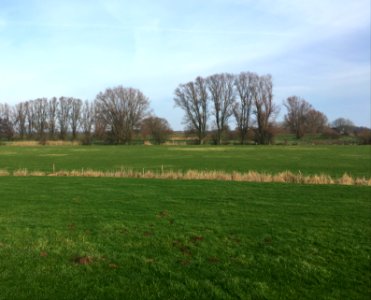 Angeren, landscape