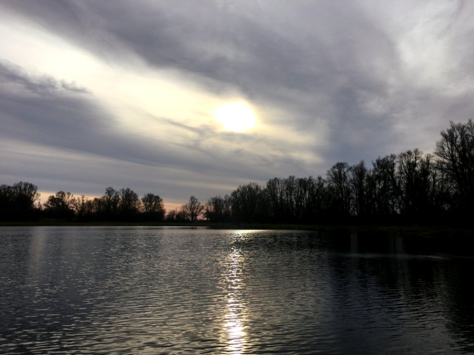 Angeren, riverscape