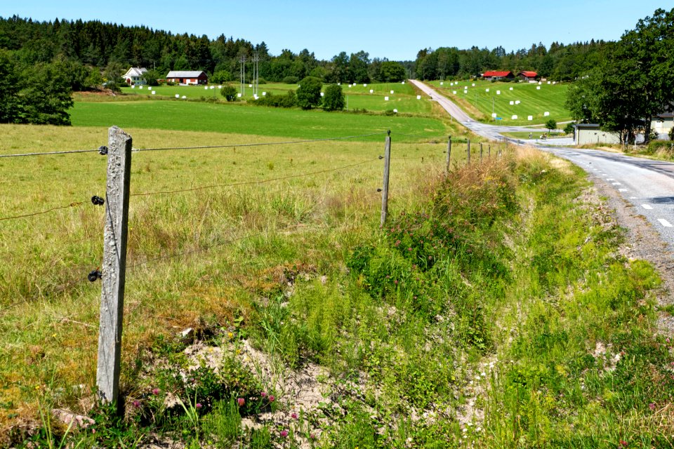 Angård in Brastad 3